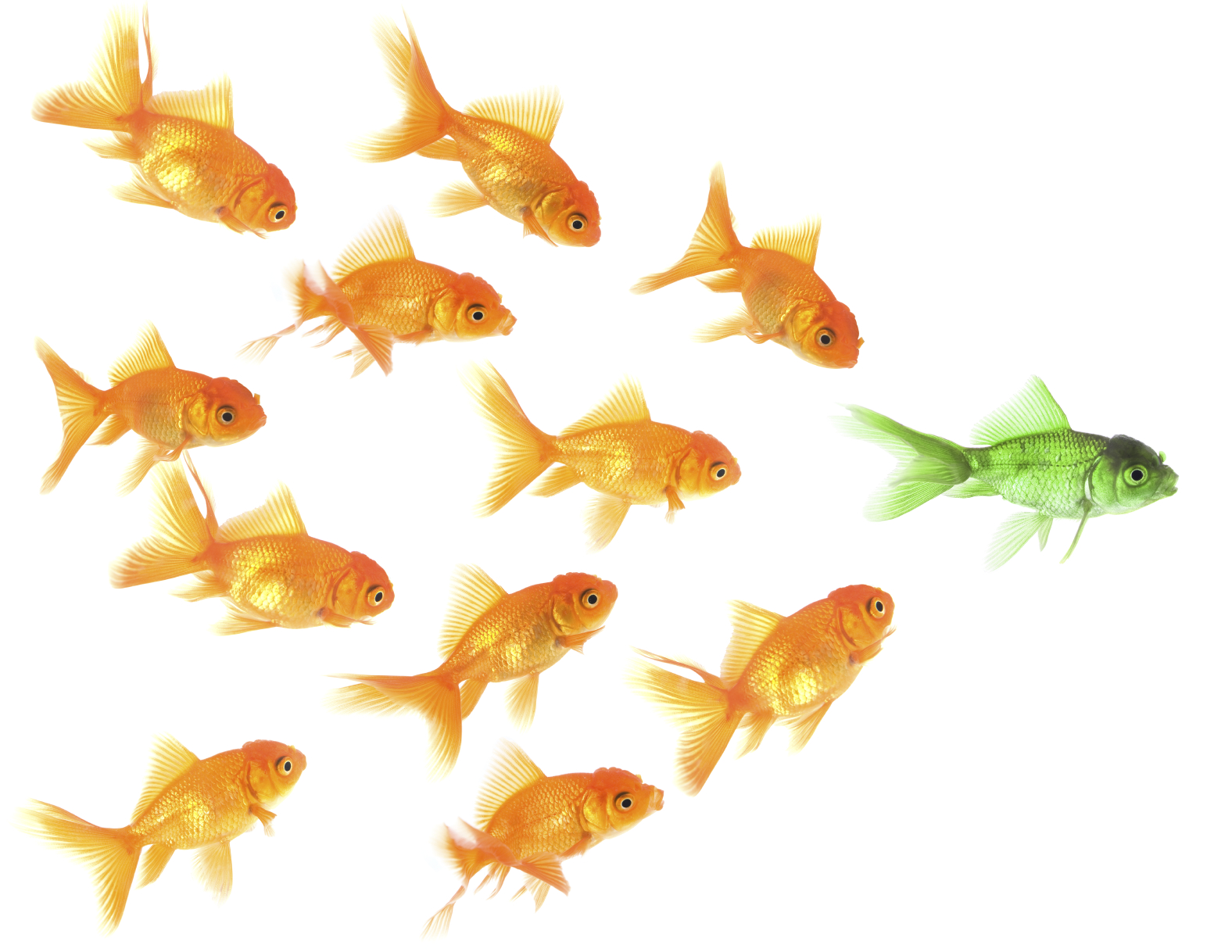 Importance of internal links