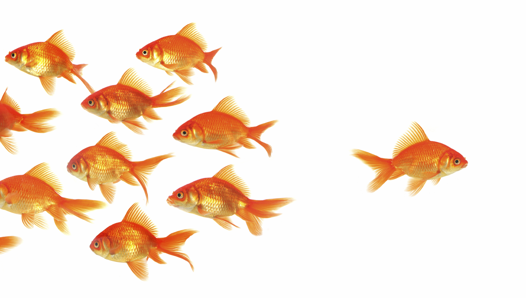 Too many links can affect seo on a page