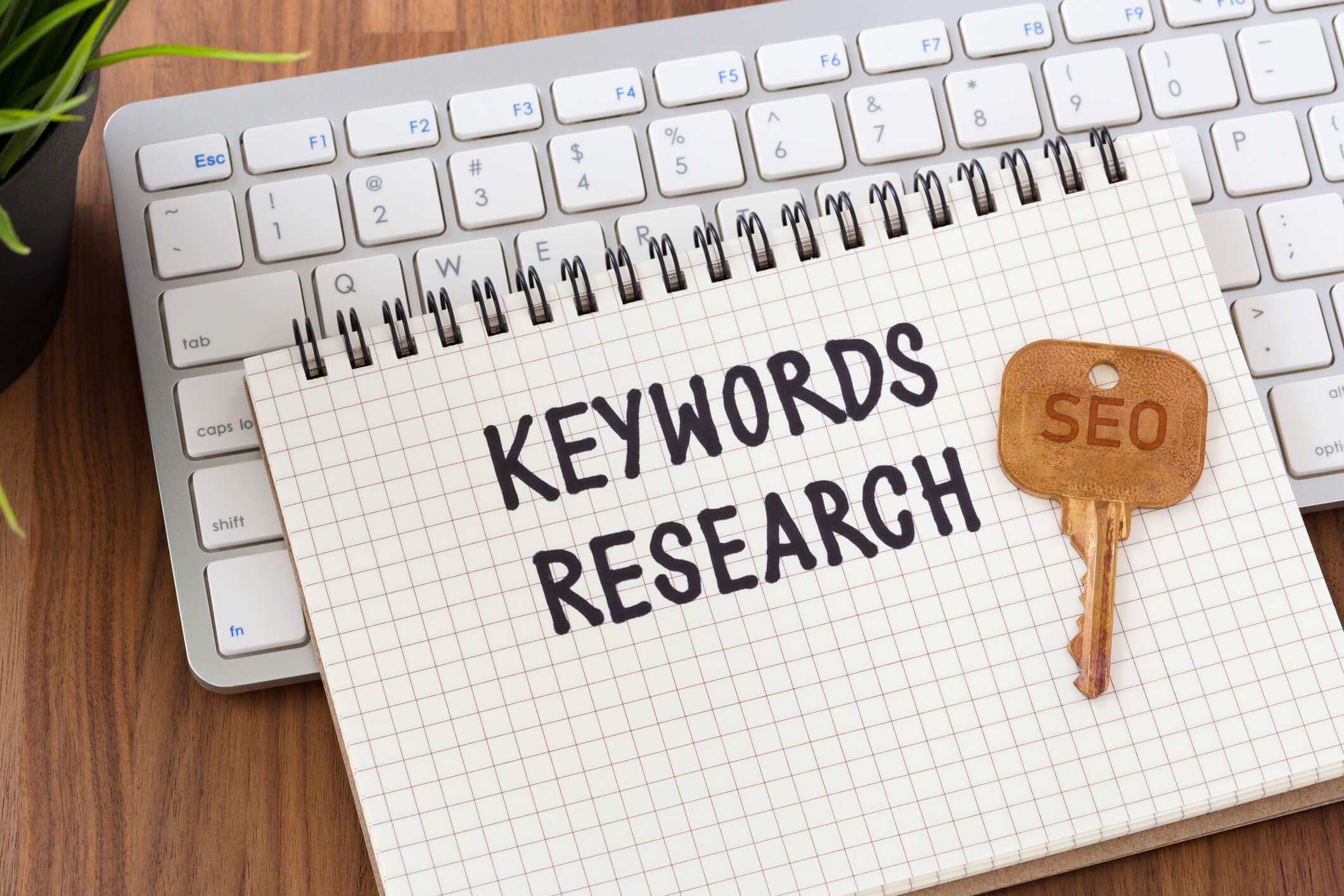 Keyword research undertaken by Want SEO