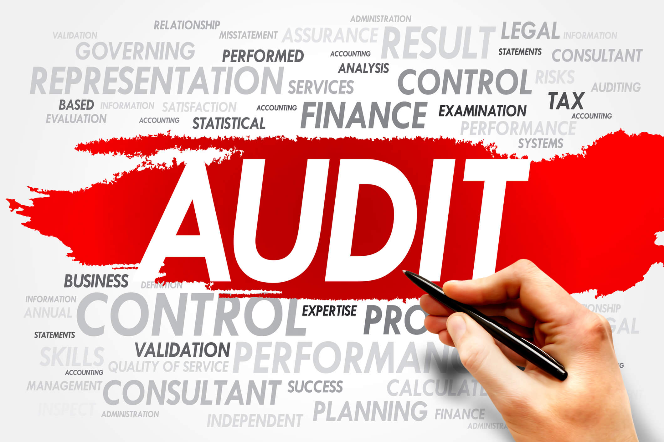 Use of privacy and professionalism in your audit