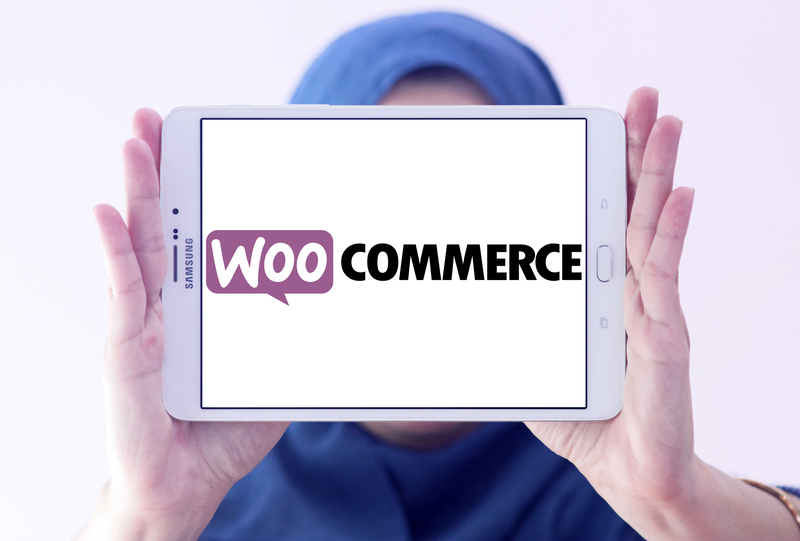 WordPress SEO Plugins for eCommerce Stores