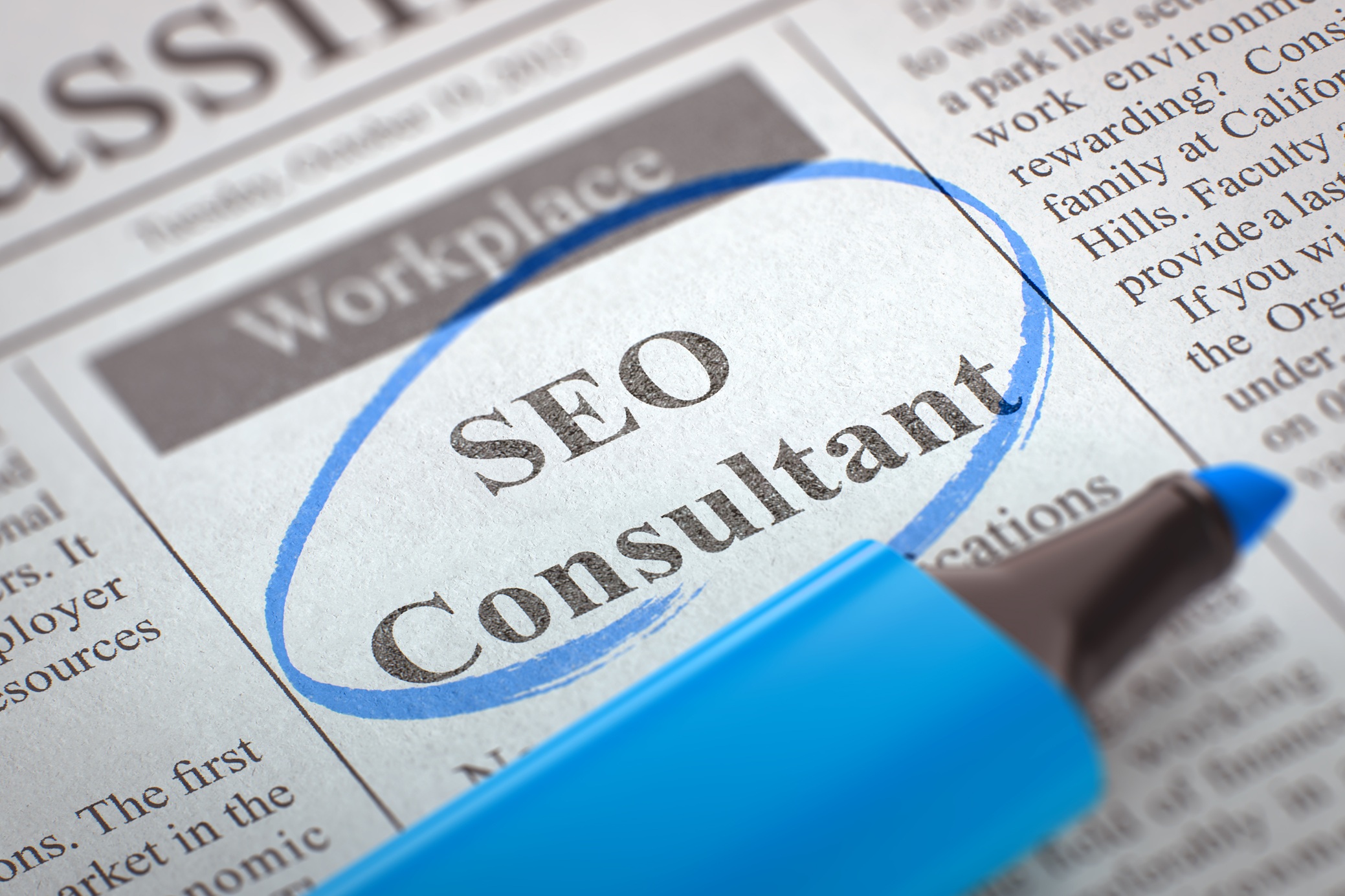 Local SEO Consultant