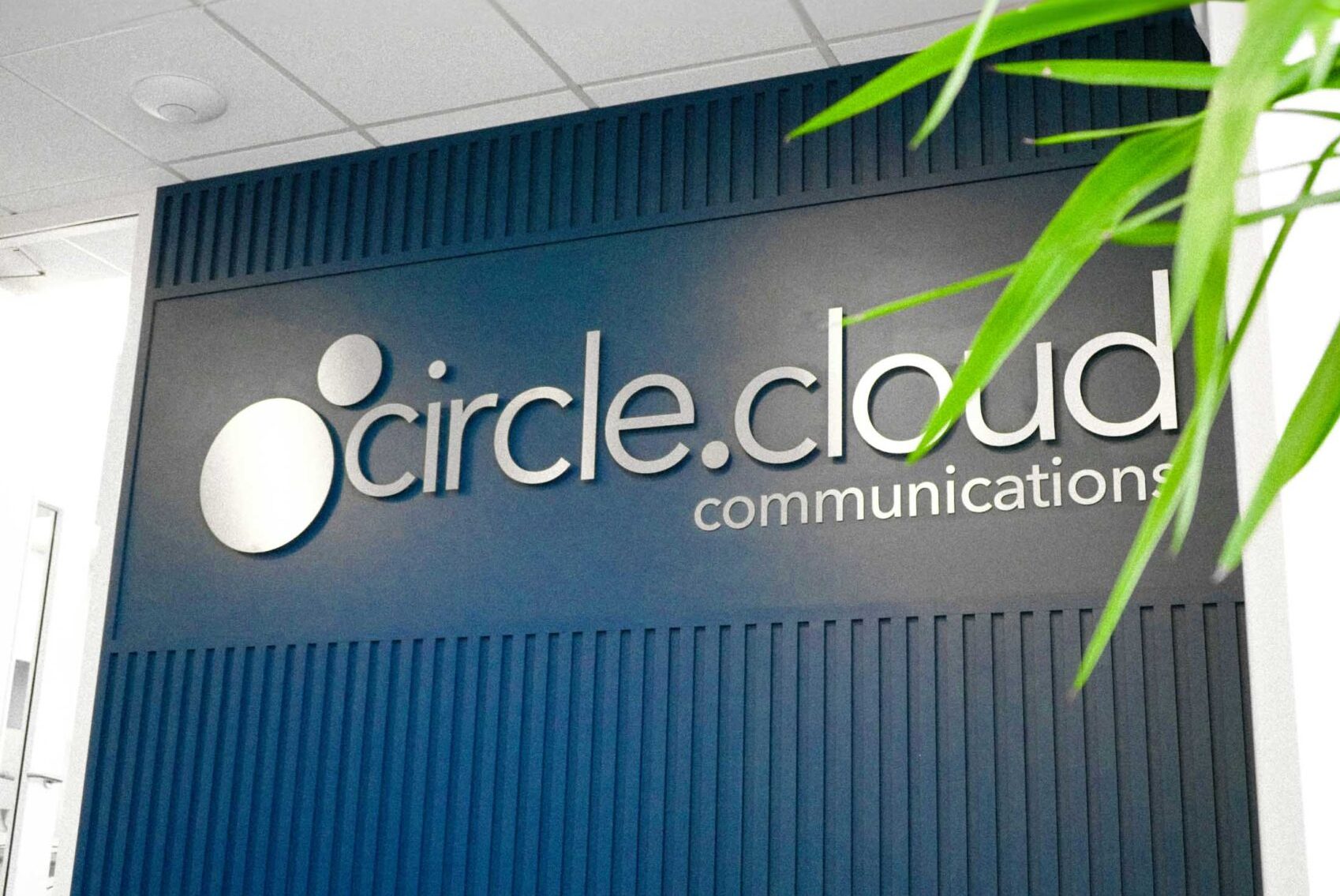 Circle Cloud SEO case study demonstrating business growth through SEO